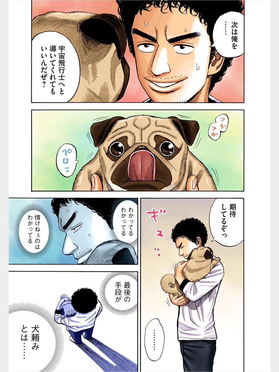 わかってる
情けねぇのは
わかってる
最後の手段が
犬頼みとは
(詠み手:南波六太)
#宇宙兄弟川柳
今回は #宇宙兄弟短歌 でした 