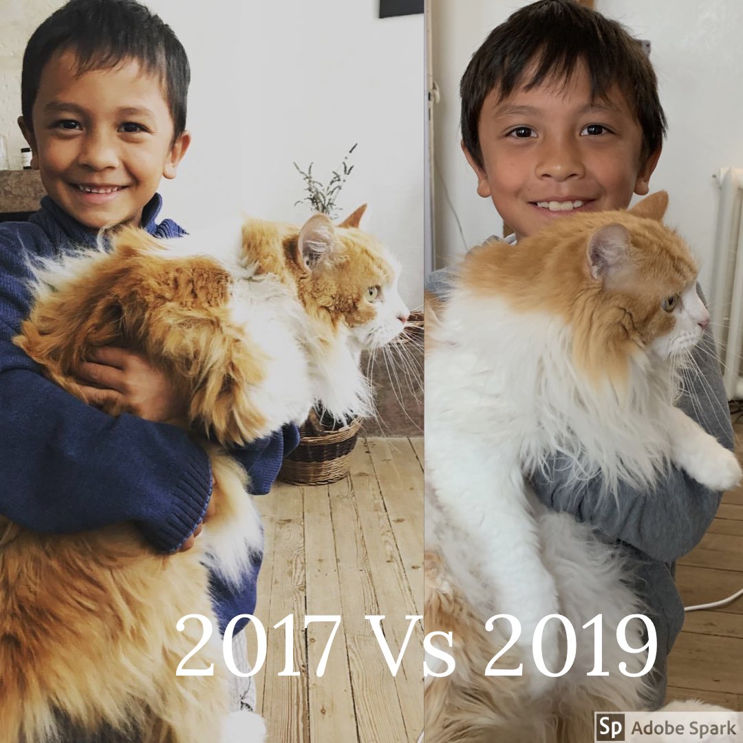 fanny_abernathy's tweet photo. #twoYearsChallenge https://t.co/lfFLLkUC1o