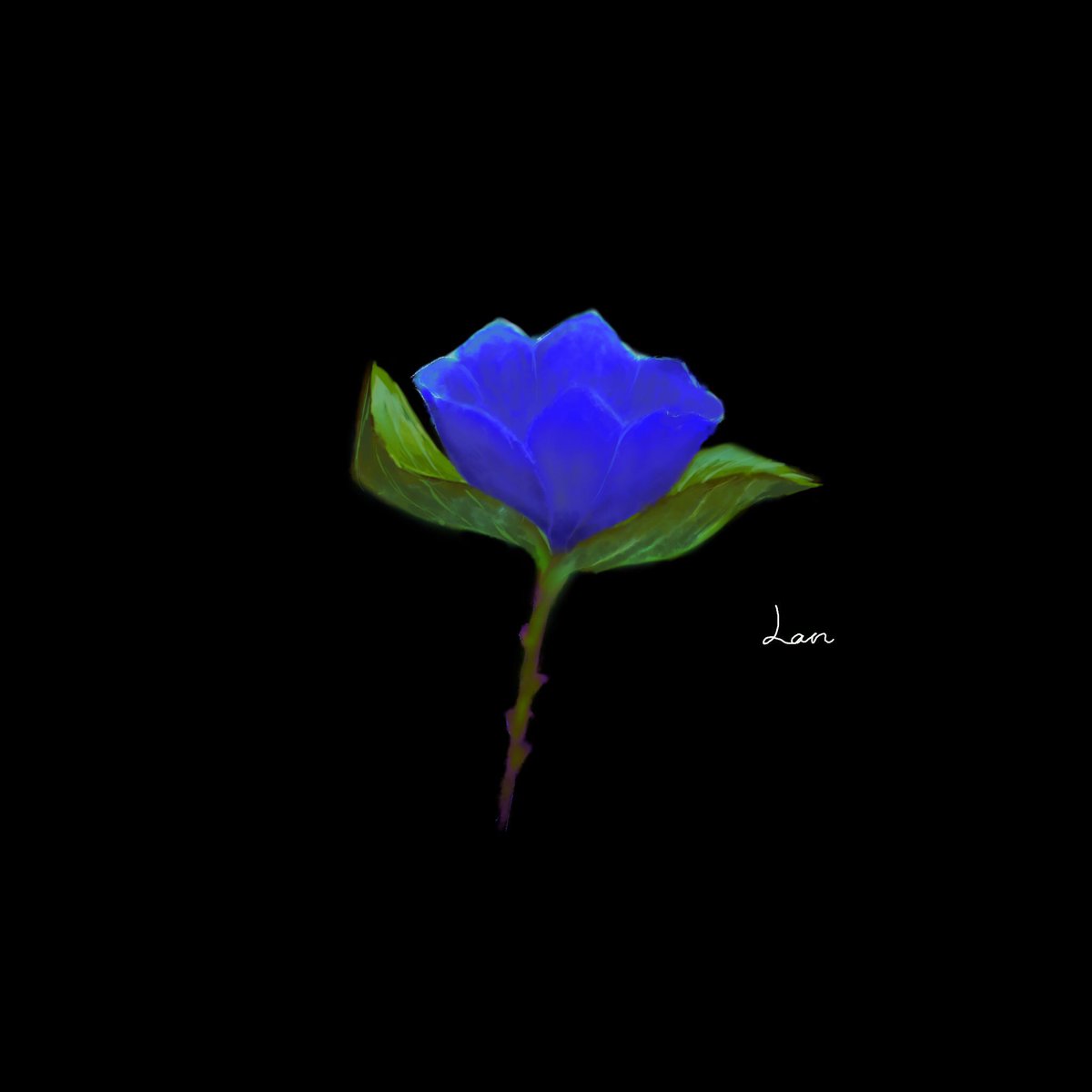 らん 月の光で咲く花 イラスト オリジナル Art 絵描きさんと繋がりたい 創作 花 植物 青 綺麗