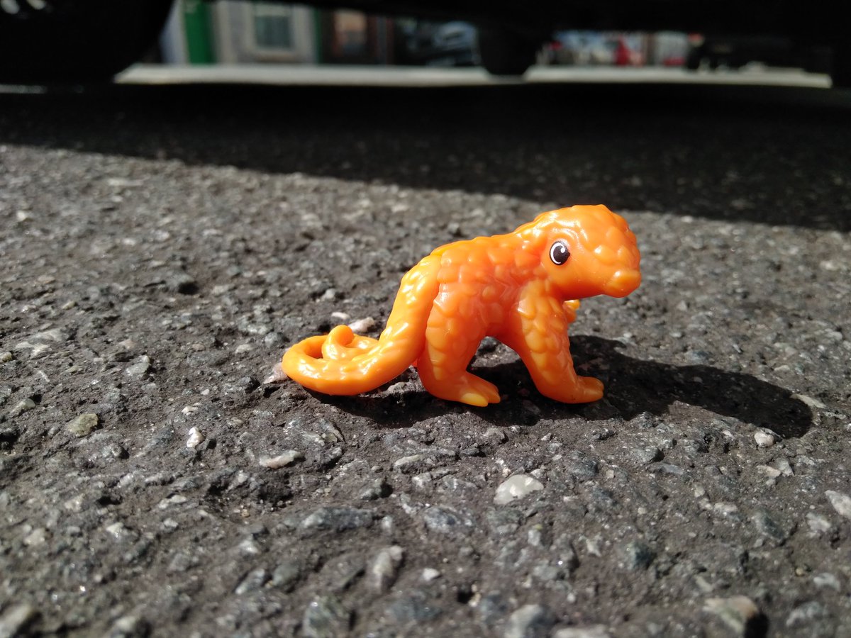 Couldn't bin this guy spotted exploring Cyfarthfa Street (but we did already clear 14 bags on today's litter pick). #Roath