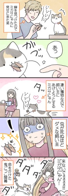 この前あった出来事を……聞いて…ください……。

猫を飼うことによってこんなピンチに合うなんて……想像していませんでした…(´；ω；｀)
 