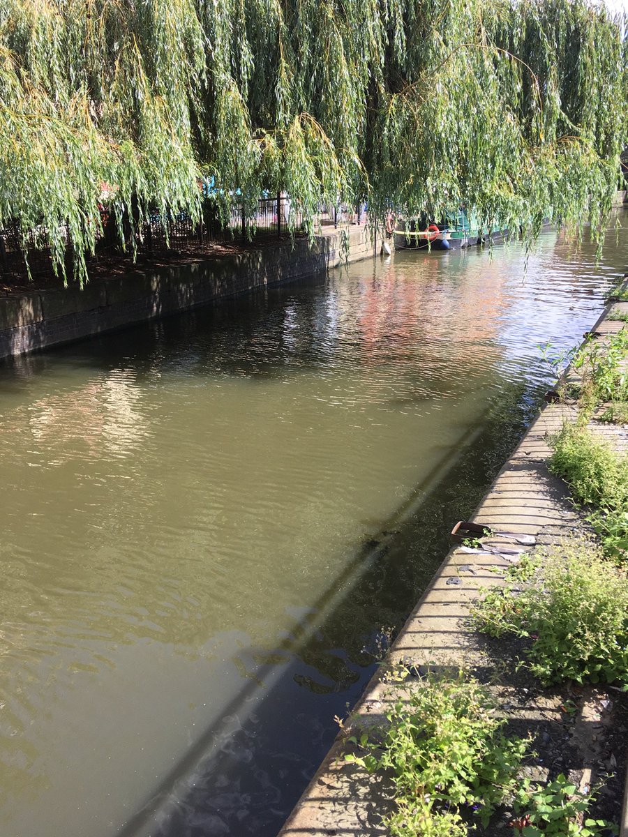 Gavin Fergie (@gavinfergie) on Twitter photo As all informed <a href="/Unite_CPHVA/">Unite_CPHVA</a> <a href="/CommPrac/">CommPrac</a> members and readers know it’s the upstream, proactive practice that needs investment not the half baked Lincoln council approach. #healthvisitorsstrike <a href="/UniteHealthNISC/">Unite Health NISC</a> <a href="/unitetheunion/">Unite the union: join a union</a> <a href="/UniteinHealth/">UniteInHealth</a> As all informed <a href="/Unite_CPHVA/">Unite_CPHVA</a> <a href="/CommPrac/">CommPrac</a> members and readers know it’s the upstream, proactive practice that needs investment not the half baked Lincoln council approach. #healthvisitorsstrike <a href="/UniteHealthNISC/">Unite Health NISC</a> <a href="/unitetheunion/">Unite the union: join a union</a> <a href="/UniteinHealth/">UniteInHealth</a>
