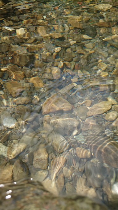 Twitterのコスプレ画像6