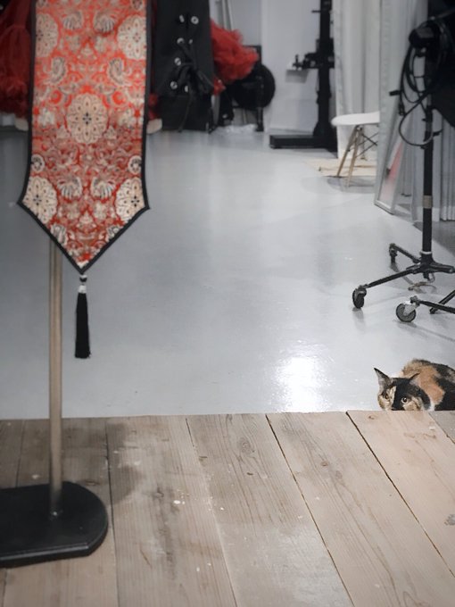 Twitterのコスプレ画像10