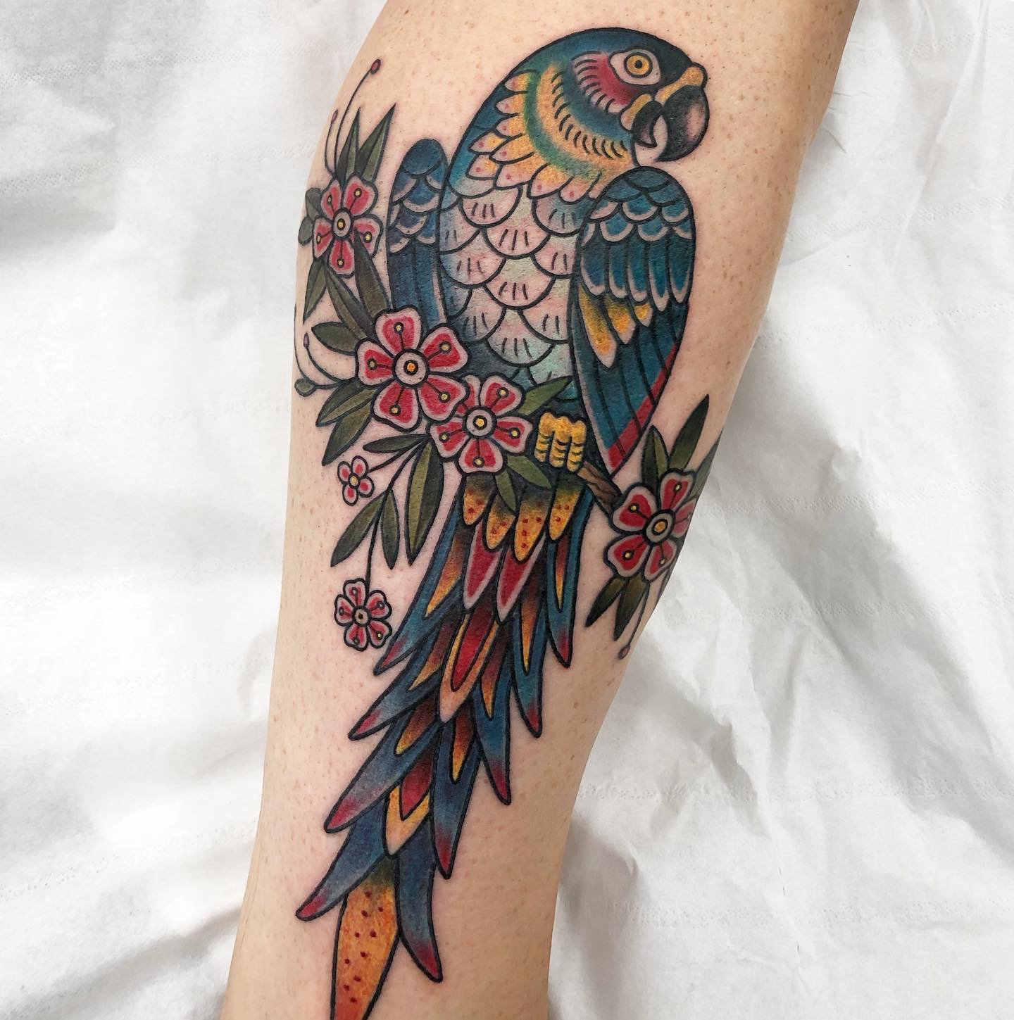 70 Colorful Parrot Tattoos Ideas  Meaning  Tattoo Me Now