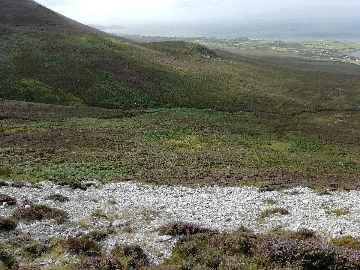 JuSmith1999's tweet photo. Amazing views ๐ #mayo #views #climbedit https://t.co/EH72JHKFfX