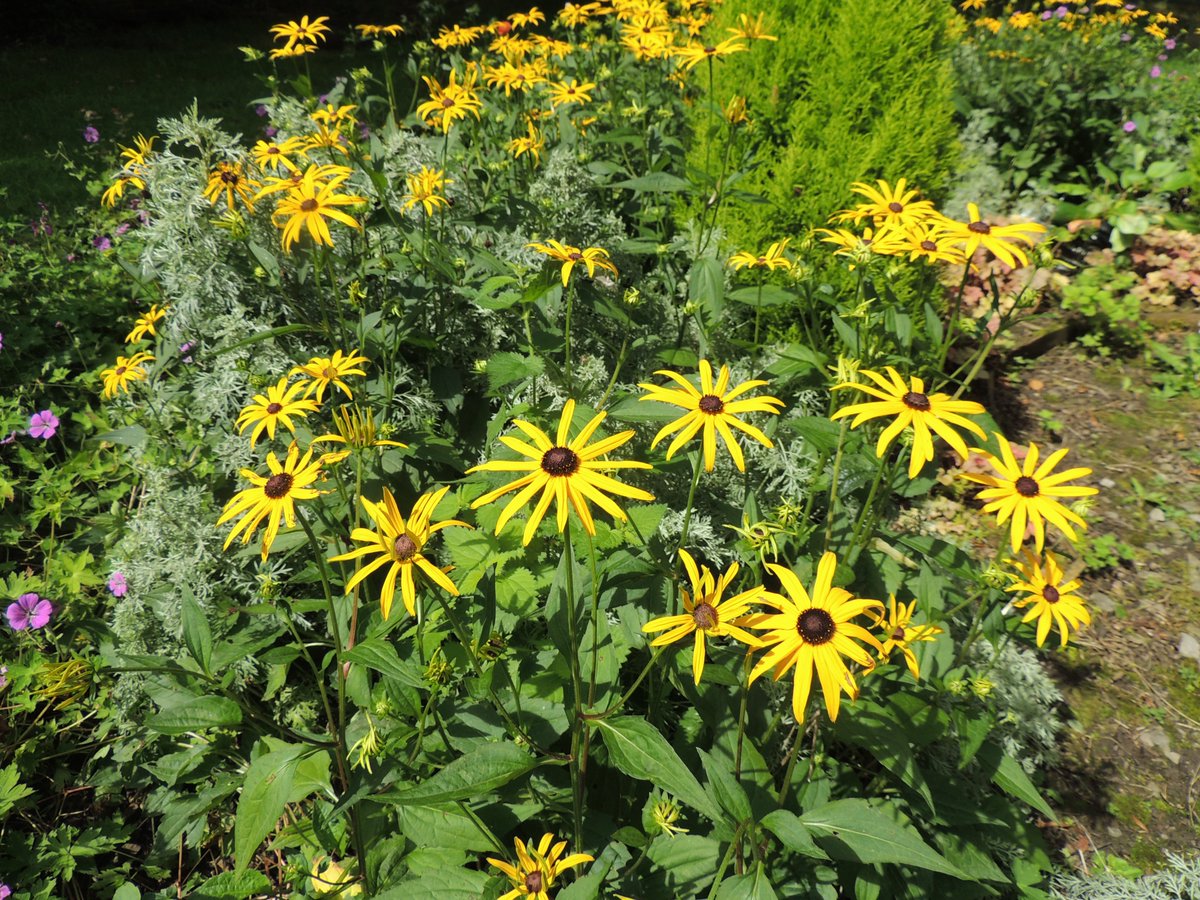 FriendsofFOPCC's tweet image. Our churchyard is looking good again after we have mowed the grass and strimmed everywhere.  The weather was nice after last week's torrential rain.  Well done team.
