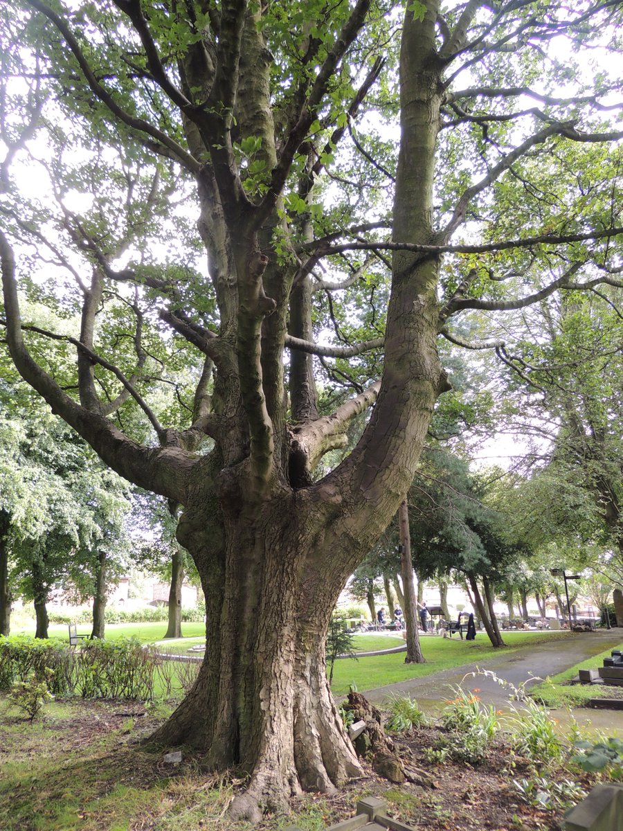 FriendsofFOPCC's tweet image. Our churchyard is looking good again after we have mowed the grass and strimmed everywhere.  The weather was nice after last week's torrential rain.  Well done team.