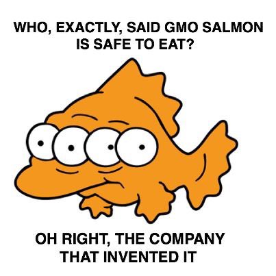 NonGMOToronto's tweet photo. #Boycott #GMsalmon #GMO #salmon #GEfish #farmedfish #atlanticsalmon #sashimi #fish #SaturdayThoughts https://t.co/dsJrYDGXkn