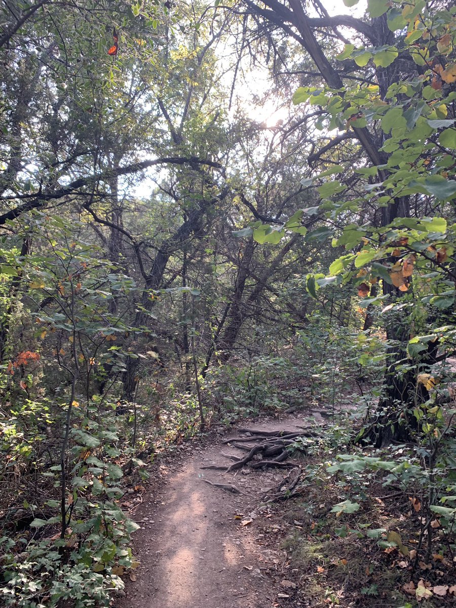 Coco3Barbara's tweet photo. Beautiful and scenic hike this morning before we bake here in Texas today!
#alreadyhot
#sanantonio
#naturelovers https://t.co/BS9TzTKUTf