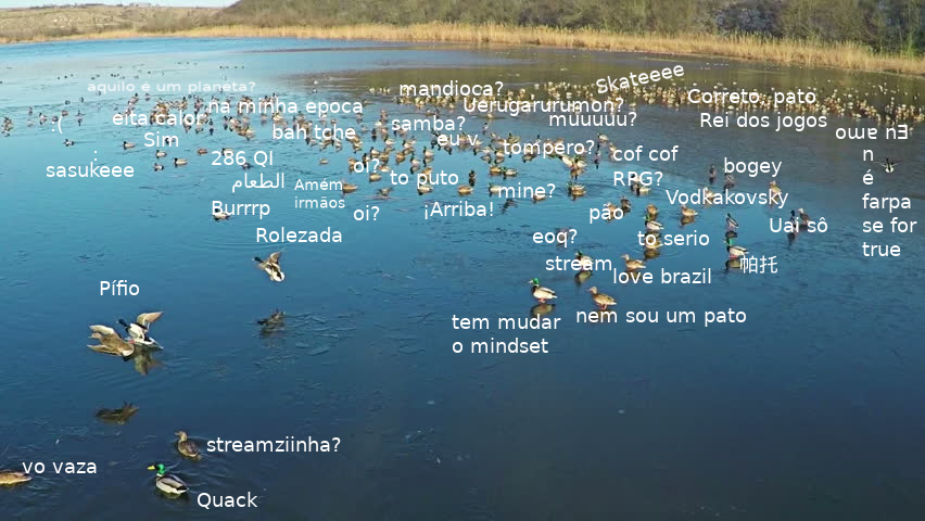PatoPacificos's tweet photo. @_PatoPastor Revoada do Patopaverso

Coloquei os patos que se fizeram notar ausentes.

#patopaverso https://t.co/biLGIMQF0o