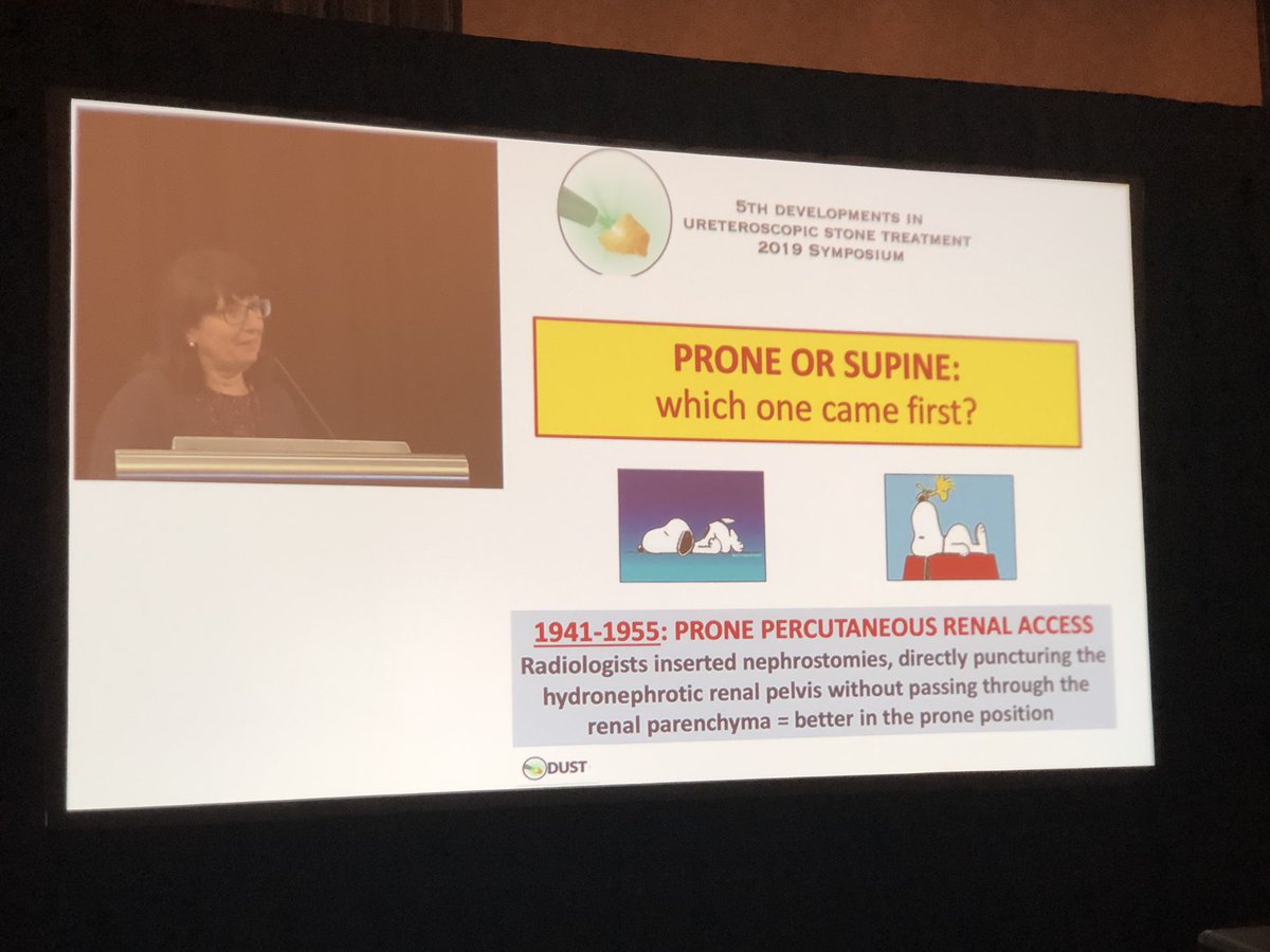 ThatBlackMD's tweet photo. Thank you to @CraccoCecilia for visiting #DUST19 all the way from Italy 🇮🇹! @dustcme @peepeeDoctor #PCNL #Stones #EndoUrology #UroSoMe https://t.co/7Dc7U7lZUa