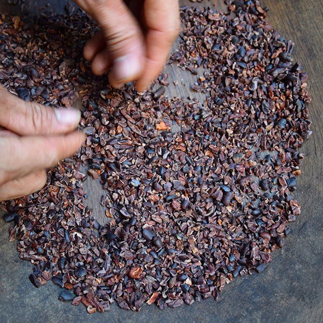 One final check of our cacao nibs before they continue on to become chocolate <a href="/jorge/">.</a>.salazar.garcia the #handmodel
.
.
.
#handcrafted #cacaonibs #chocolate #qualitycontrol #thedevilisinthedetails #itsthesmallthings #cacao #treetobar #farmtobar #organic #… ift.tt/2Hb0HTG