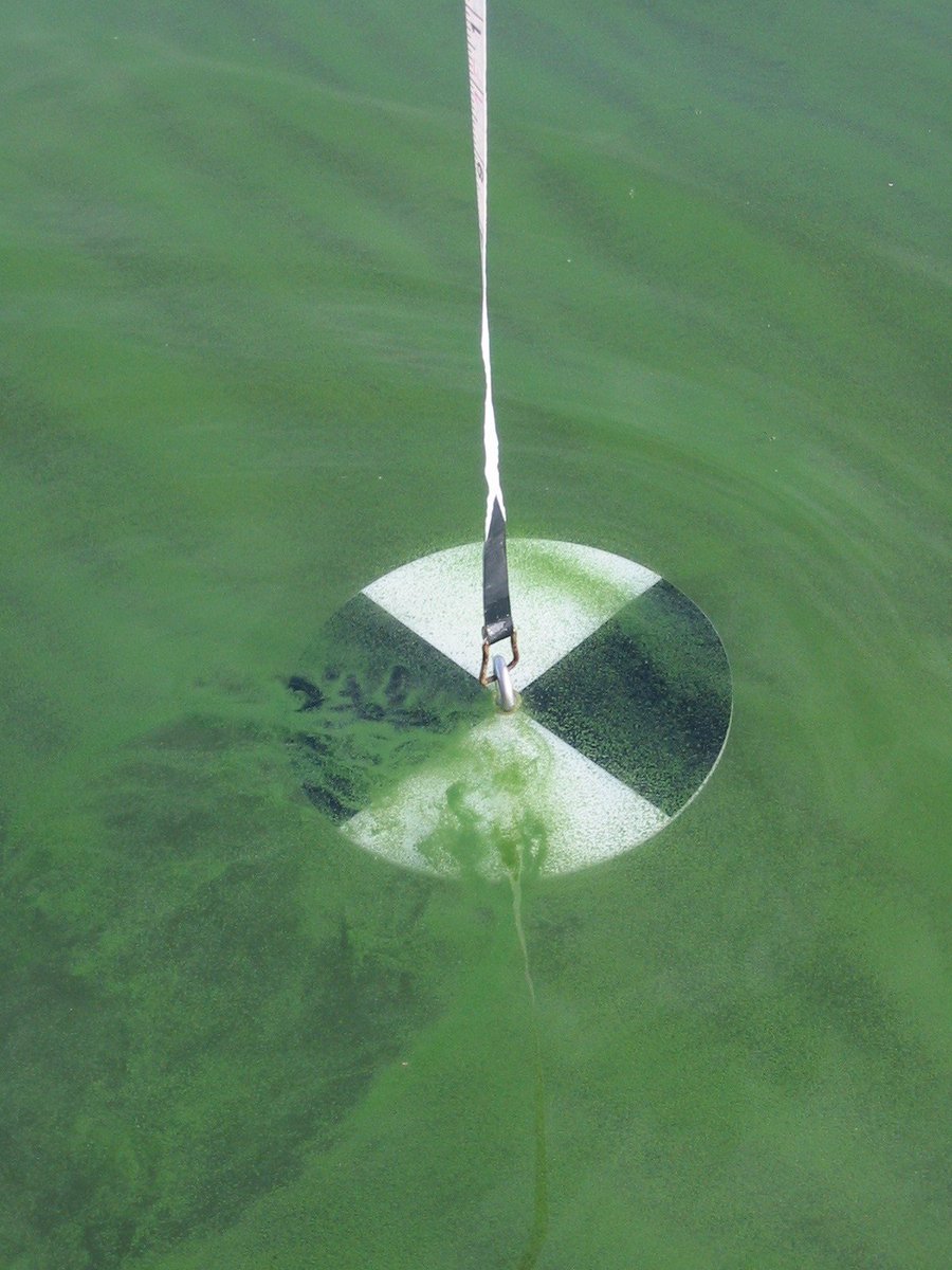 Определение прозрачности воды. Диск секки. Диск секки предназначен для измерения. Диск секки. Белый диск секки.