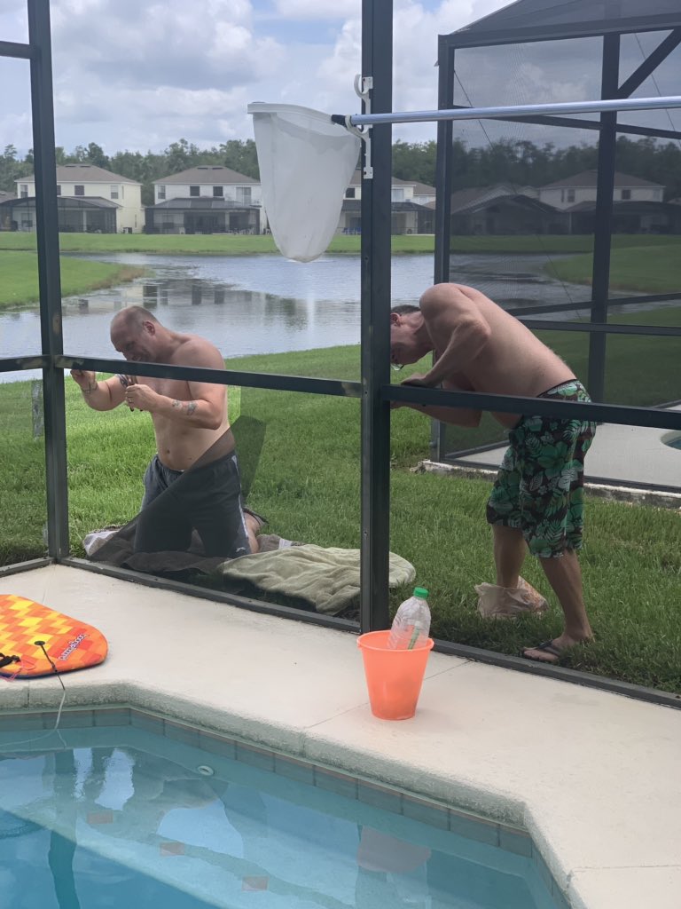 beatonvilla's tweet photo. It’s a 2 man job changing pool screens! 😆👏🏻👏🏻 https://t.co/7VVPrtmsaW