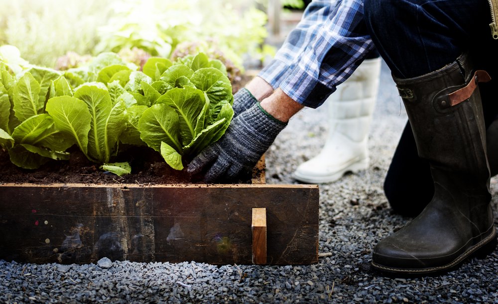 MaidRightClean's tweet photo. Tidy up all your spaces, including your lawn and garden! Use the opportunity of this beautiful summer day to get outside and get your hands dirty. https://t.co/EA52MDNxtQ