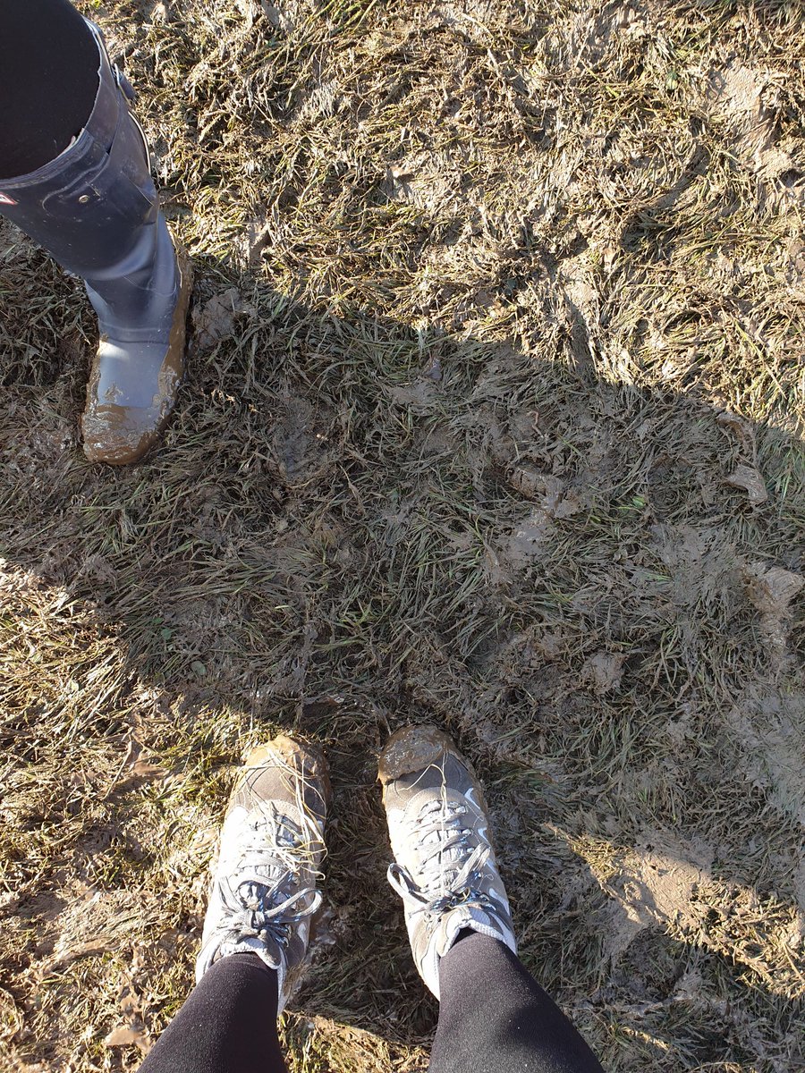 lindsaymcn's tweet photo. Bellahouston park! Wellies or boots only 😷 #FooFighters #summersessions #mudgalore #FooFighters #glasgow #BellahoustonPark https://t.co/Di0eSGwTdS