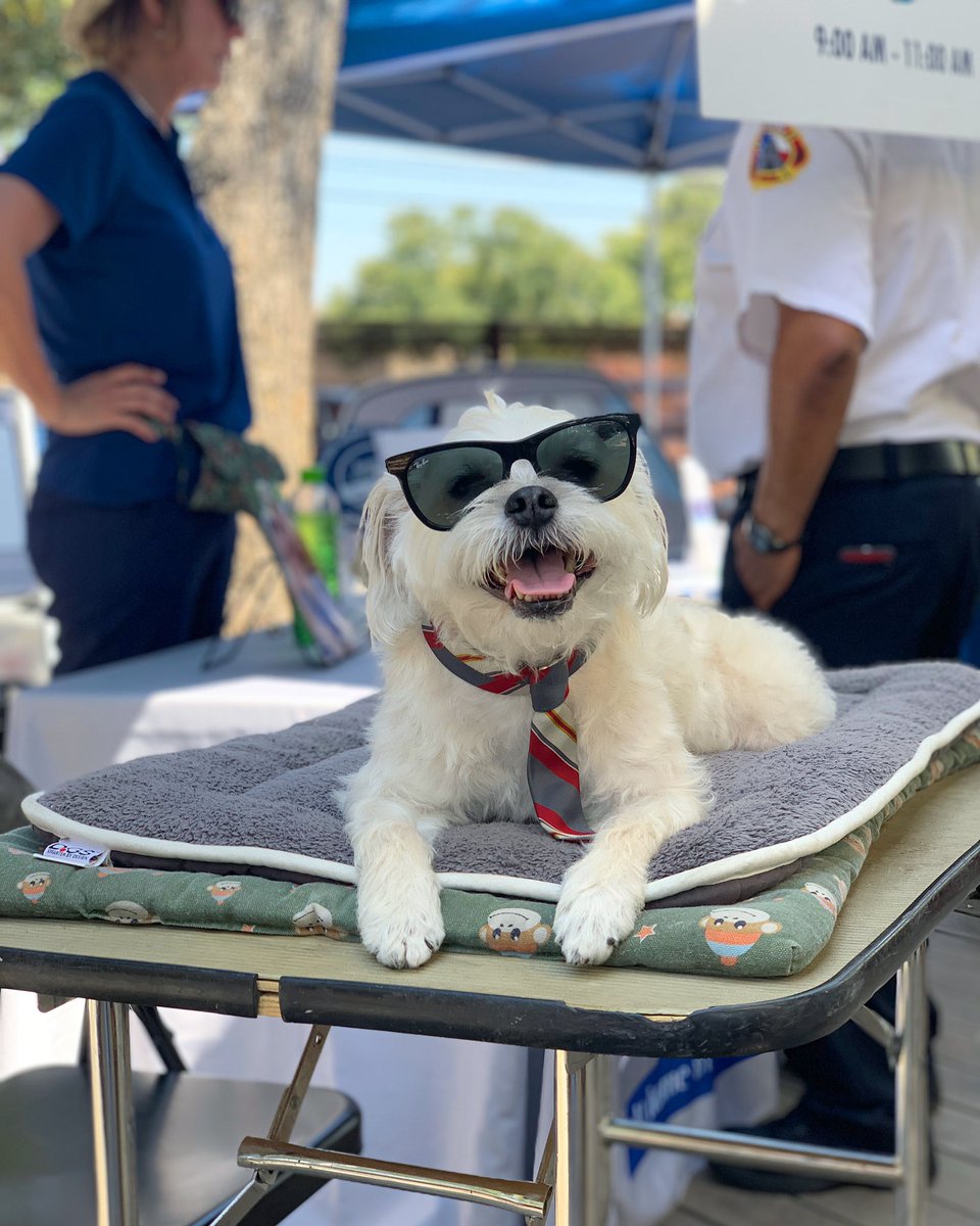 Kaxan_KXAN's tweet photo. We’re here at @familyeldercare’s  #Fans4Paws @EasyTigerATX at the LINC. Come see us! I’m here until 1pm but the party goes until 2pm. Bring your fans or funds and let’s help Central Texas residents &amp; their pets in need. 🙏🏻#summerfandrive #austin @KXAN_News RT https://t.co/6C5iQNP6OB