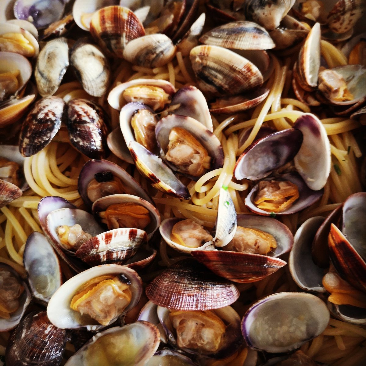 grano_zero's tweet photo. Vongole veraci allo spaghettone senza glutine 🤭😍💣💥
.
.
.
#vongole #veraci #vongoleveraci #spaghetti #pasta #senzaglutine #glutenfree #glutenfreepasta #clams #italianpasta #instafood #instagood #instapasta #foodporn #granozero 💯🇮🇹 https://t.co/el4lVjjdWx
