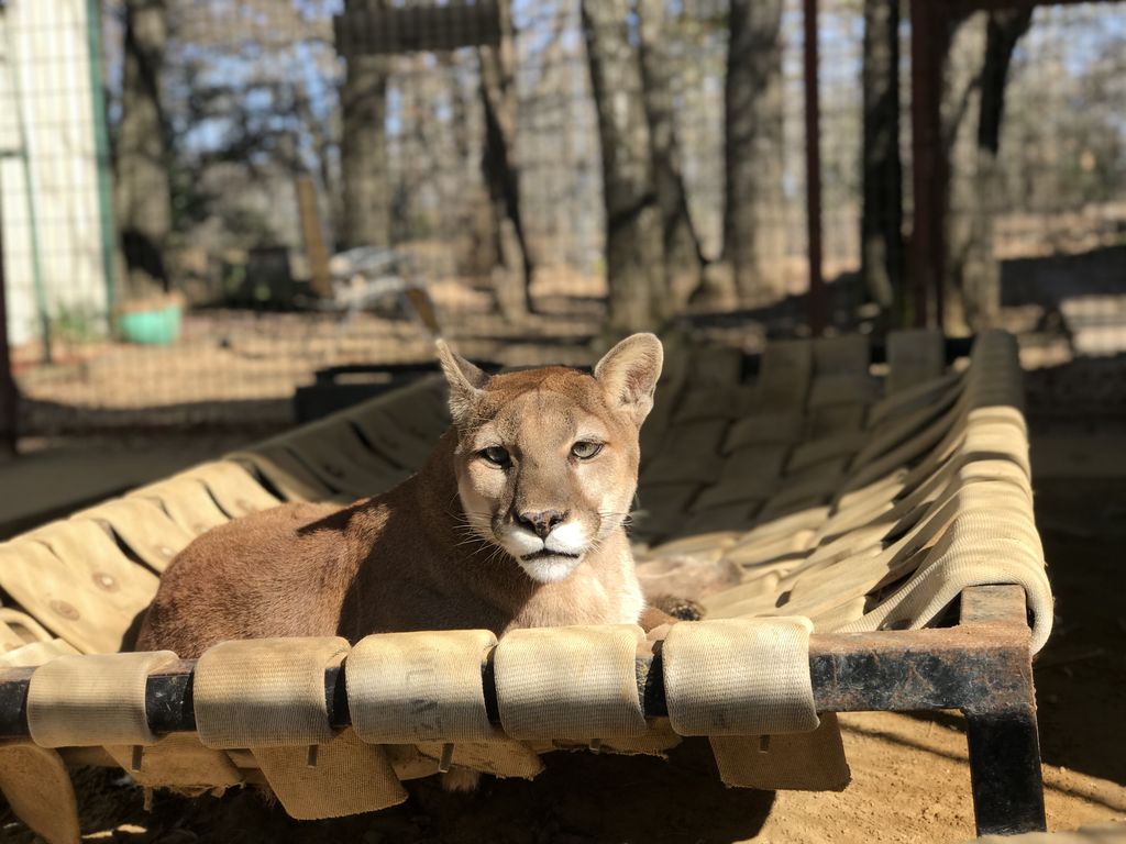 Zoe soaks up some early morning sunshine.