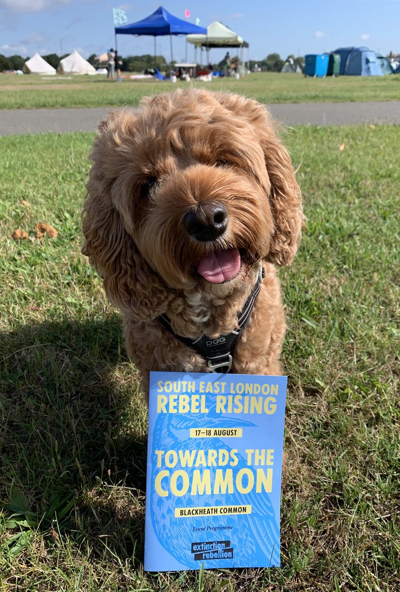 Little Rea tweet media