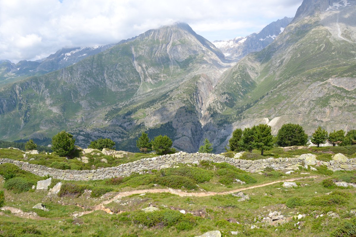 Henk_Baas's tweet photo. Stenen muurtjes, hoog in de Zwitserse Alpen bij de Aletschgletsjer. Grootse natuur, maar ook hier hebben we feitelijk te maken hebben met een cultuurlandschap. #beweiding https://t.co/z8vcfkpIni