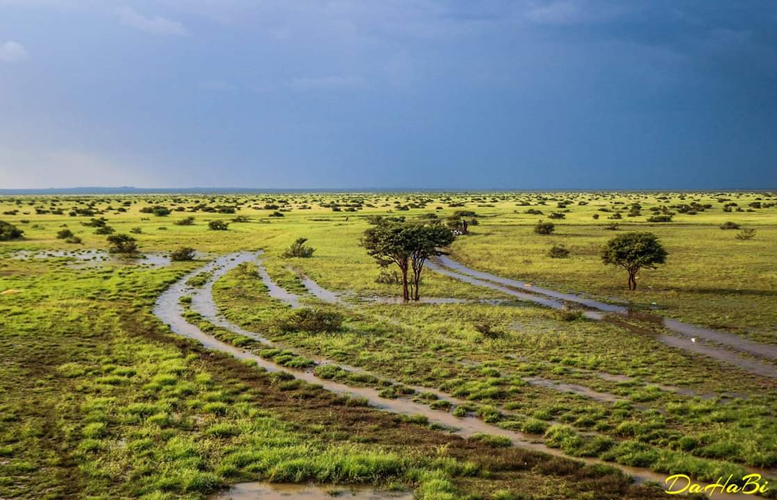Waa qayb kale oo kamid ah quruxda dhulkeena #Hooyo, Halkana waa duleedka #Togwajaale oo barwaaqeysan!.
@XDahabi📷 <a href="/adancabdulle/">Adam</a> <a href="/hodansomali/">Hodan Ali</a> @MrSuldaan <a href="/AbdisalamAato/">Aato</a> <a href="/101Guled/">Mohamed Jama</a>