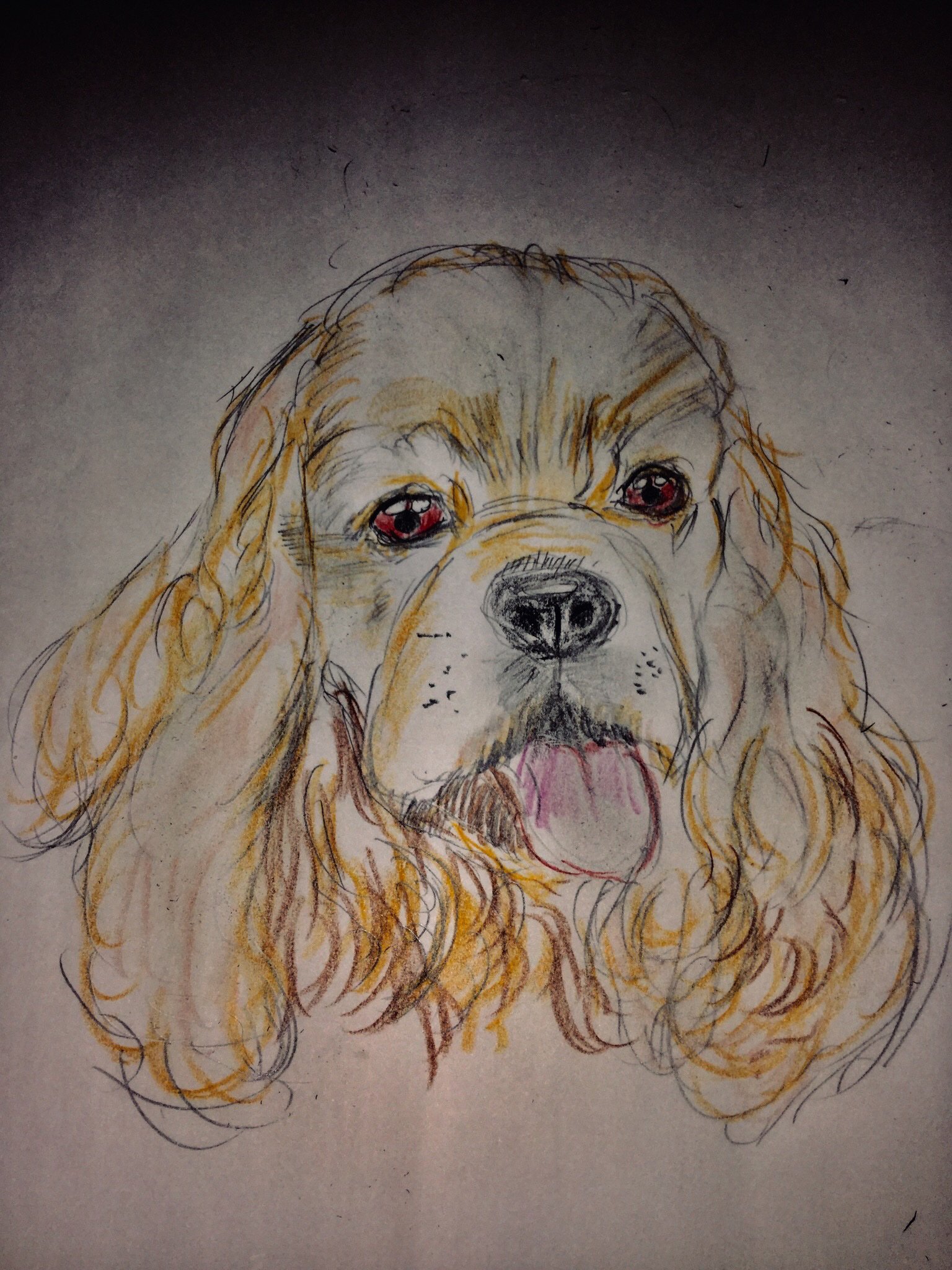 Judas 日本に広まったのはわんわん物語以降でしょう 歳がバレますね 30犬種め 手描き イラスト 色鉛筆 色鉛筆画 動物画 犬の絵 鉛筆画 コッカースパニエル アメリカンコッカースパニエル T Co Mkb91mh4ql Twitter