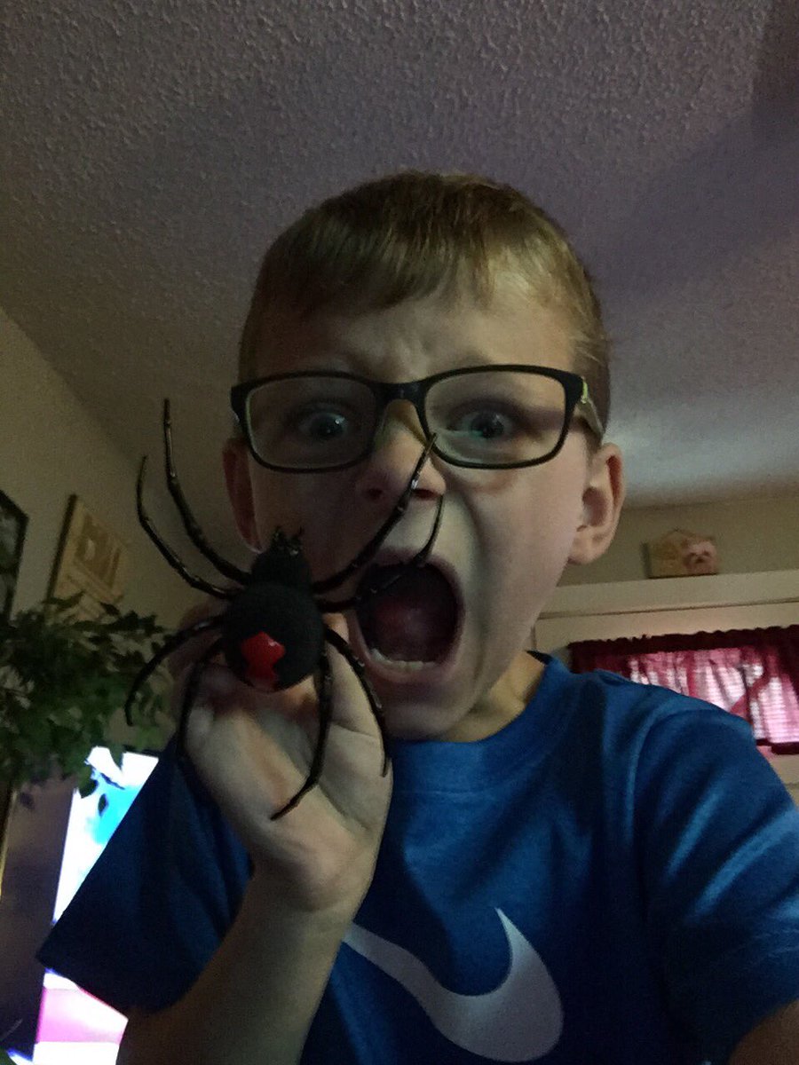 JadePlasker's tweet photo. I AM TOUCHING A BLACK WIDOW!!! https://t.co/94CBtnXFR8