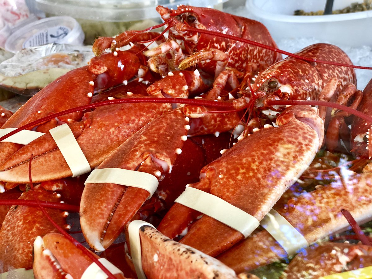 Create some wonderful recipes tonight. We offer various selection of ingredients for your creativity.