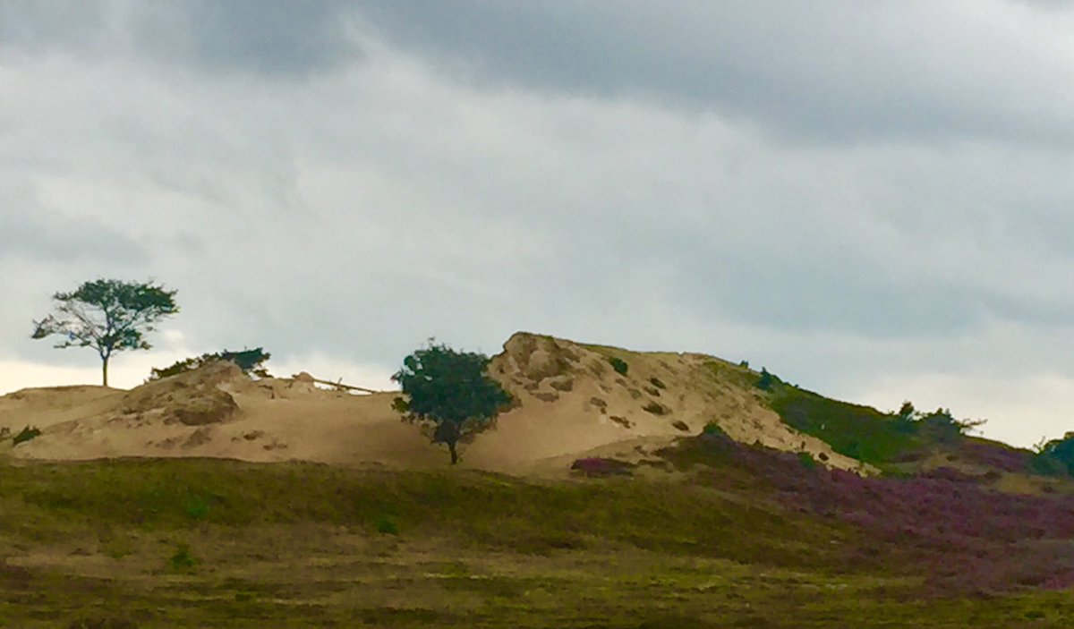 HaraldBuit's tweet photo. Drenthe #thuus https://t.co/bdvrDi9sDU