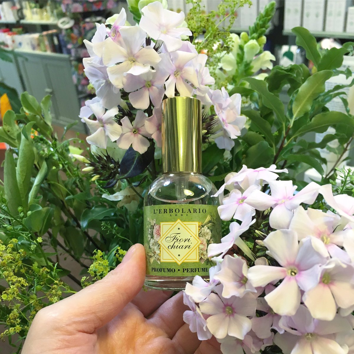 erbolariolondon's tweet photo. 106A Upper Street London N1 1QN https://t.co/bCB0xO2fXN #vegan #crueltyfree #parabenfree #erbolario #onlineshopping #ethicalfashion #italiancosmetics #skincare #plantbased #slsfree #madeinitaly https://t.co/n5EJb0I6uk