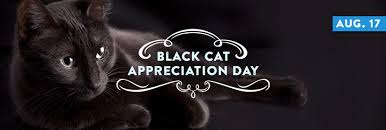 BlackCatEscapes's tweet photo. It's Black Cat Appreciation Day & we're celebrating with donations to the Virginia Beach SPCA! This weekend we're donating 10% of all full-priced bookings to help beautiful animals who need good homes. Book at https://t.co/ol4oY1YuYv.
#BlackCat #VBSPCA #EscapeReality #VaBeach https://t.co/iAr5KaCzub