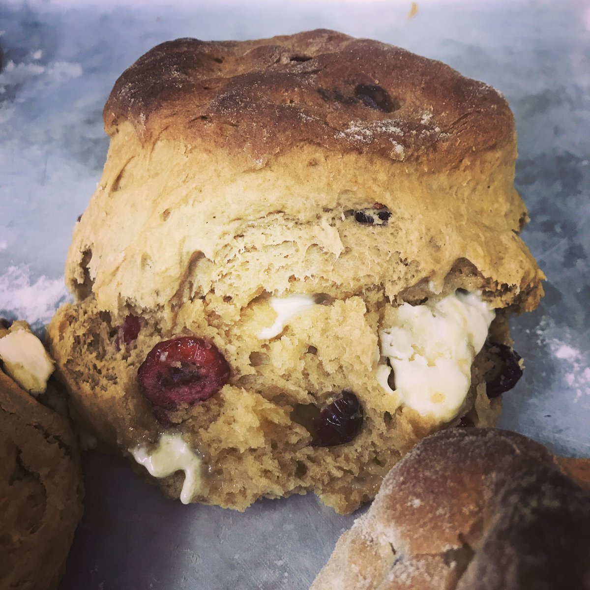 whistle_cafe's tweet photo. ITS NATIONAL CREAM TEA WEEK!! Get down here this weekend and have one of our fab cream teas #whiteChocolateAndCranberry #scones #creamteas #WDYT @tetburygsp @TETBURYVIC #nationalCreamteaWeek https://t.co/yg89CPqdN8