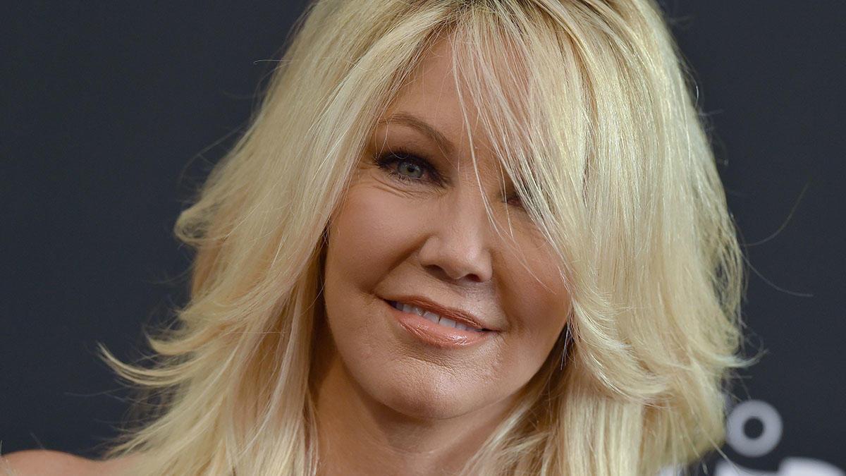 Actor Heather Locklear pleads no contest to eight misdemeanor charges