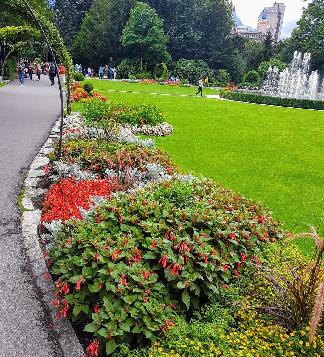 jruizum's tweet photo. Some pictures taken early this week at #icbic19 #ICBIC2019 #Interlaken https://t.co/crtmWu4S3Z