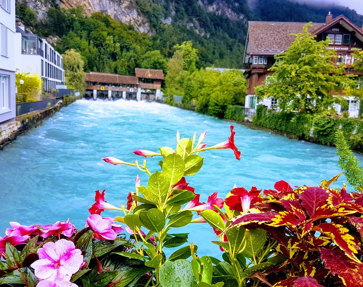 jruizum's tweet photo. Some pictures taken early this week at #icbic19 #ICBIC2019 #Interlaken https://t.co/crtmWu4S3Z
