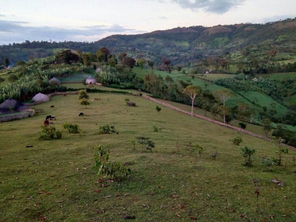 GetuKawato's tweet photo. Home sweet home, #Haroressa https://t.co/XmYjvjmMNw