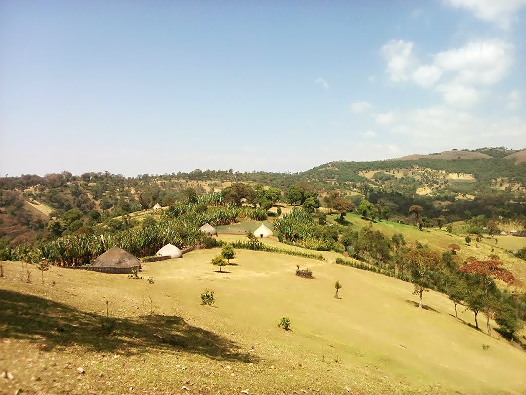 GetuKawato's tweet photo. Home sweet home, #Haroressa https://t.co/XmYjvjmMNw