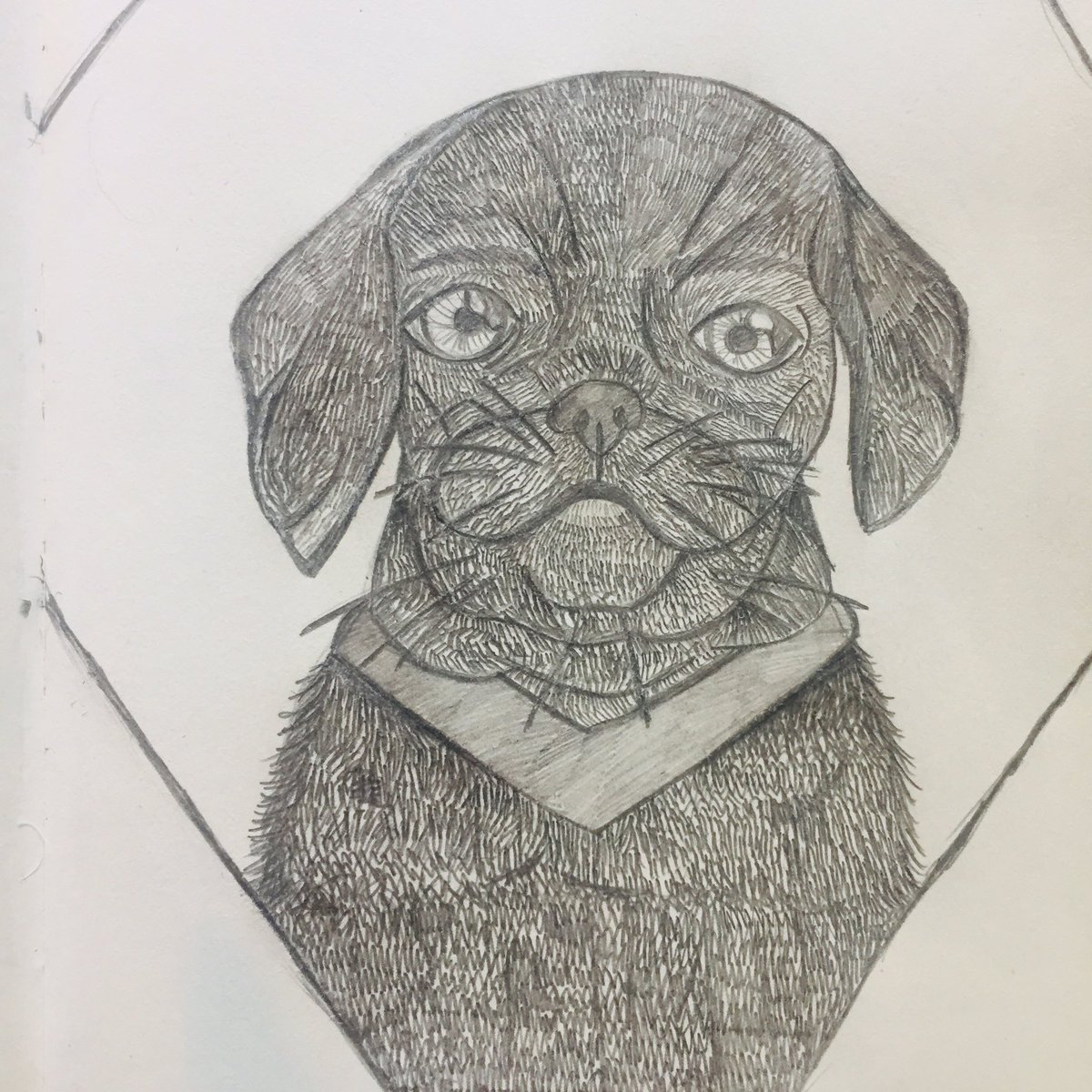 Drawing of a pug 
#art #artexplore #drawing #drawings #sketchbook #sketch #sketching #papersketch #artistic #myart #follow #like4like #pug #pugdrawing #dogs #dog #animals #lovedogs #loveanimals #dogdrawing #mansbestfriend #ilovepugs #iloveanimals