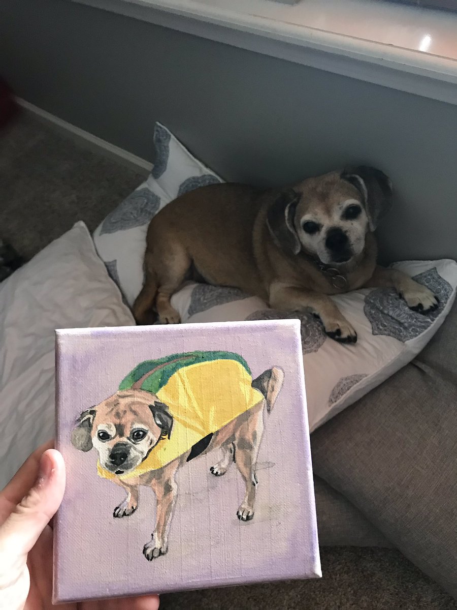 indianabeam's tweet photo. @chewy You have certainly outdone yourself!  Very nice touch Brittany Engel. https://t.co/F6wW9ujfi7