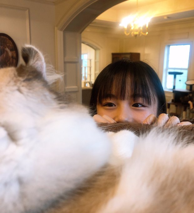 Twitterのコスプレ画像40