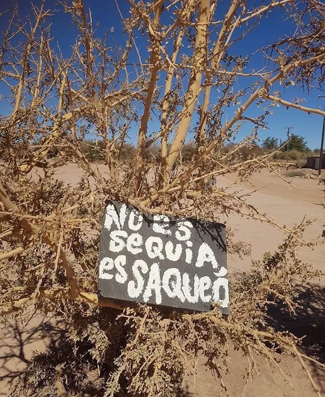 amoarbolurbano's tweet photo. https://t.co/P92GonWmRi