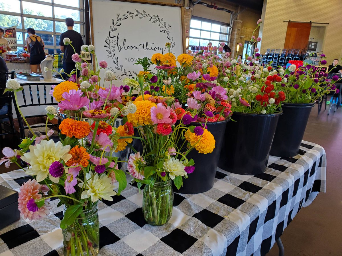 TuscRiverMarket's tweet photo. 💐Spruce up your new dorm with some flowers from Bloom Theory!! 💐

#alabamaproduce  #farmersmarket  #shoplocal https://t.co/YvcqEOO1eF