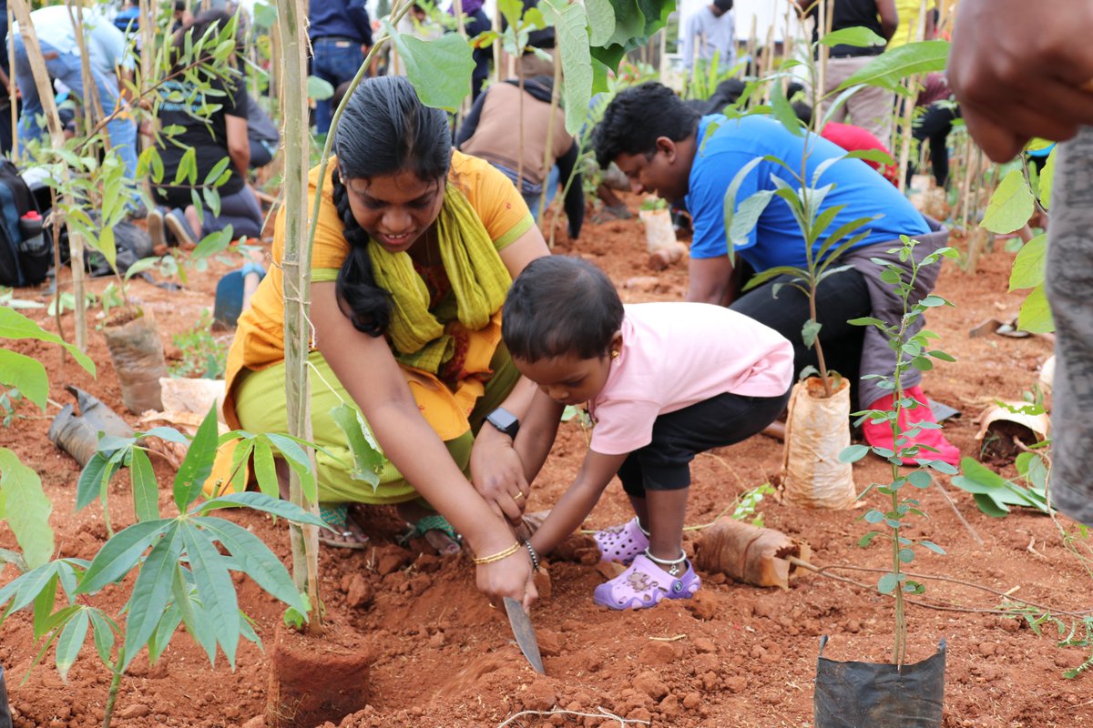 saytrees_ind's tweet image. For them, for their FUTURE !!!!
Nature Lovers planting saplings to create a dense forest in city. 

#Volunteer #Miyawaki #DenseForest #ForestInCity