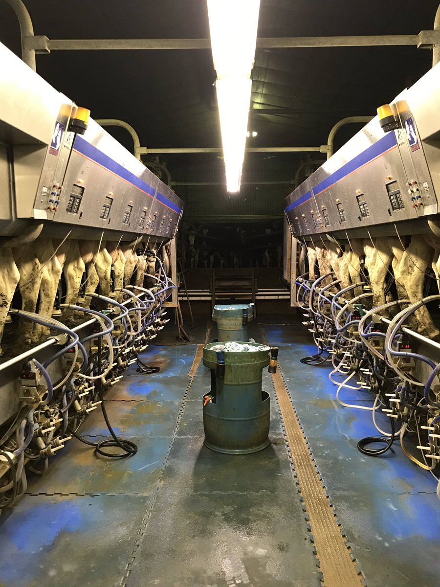 Danbrook03's tweet photo. 7 years ago I left and @kevin_buchner and crew said Iโll be back! Today I was back for my first shift @ 3:30am #ontag #partimer #milk #cows #neversaynever https://t.co/qnbx2RBMza