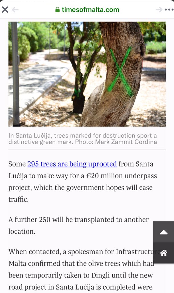 SmissBf's tweet photo. Taken a screen shot, what is message of the green mark on tree! #protectrees #biodiversity “New trees were being planted in the picnic area in the vicinity as Infrastructure Malta has committed to plant 10 new trees for every tree uprooted. “ Old trees can never be replaced. https://t.co/Lsv6xBEm9O