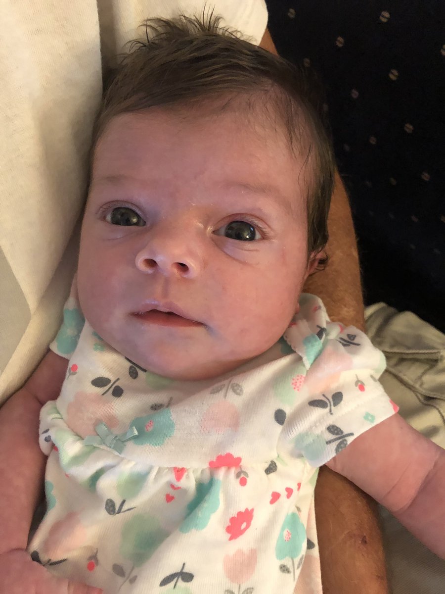 sabra22's tweet photo. Oooo my goodness. Let me introduce you to Ms. Oakley!!!! And that hair..
#gramma #IveBeenBlessed ❤️❤️❤️❤️❤️❤️❤️❤️❤️❤️❤️❤️❤️ https://t.co/4EuYzo402h