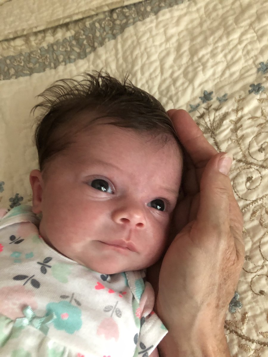 sabra22's tweet photo. Oooo my goodness. Let me introduce you to Ms. Oakley!!!! And that hair..
#gramma #IveBeenBlessed ❤️❤️❤️❤️❤️❤️❤️❤️❤️❤️❤️❤️❤️ https://t.co/4EuYzo402h