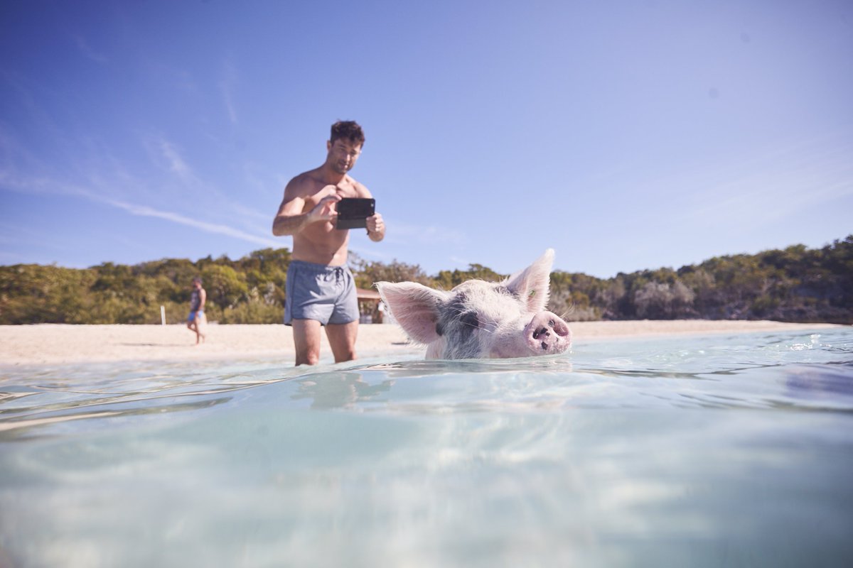 MakersAir's tweet photo. No Staniel Cay weekend getaway is complete without visiting the world famous #originalswimmingpigs
No better way to reach this #bucketlist destination than with us! https://t.co/c88wZti2Ch
#MakersAir #DestinationsMade #FortLauderdale #bahamas #privatecharter #scheduledflights https://t.co/tmFbg4STLf